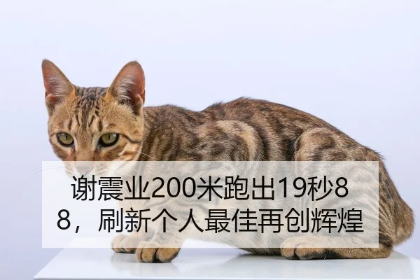 谢震业200米跑出19秒88，刷新个人最佳再创辉煌