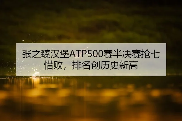 张之臻汉堡ATP500赛半决赛抢七惜败，排名创历史新高