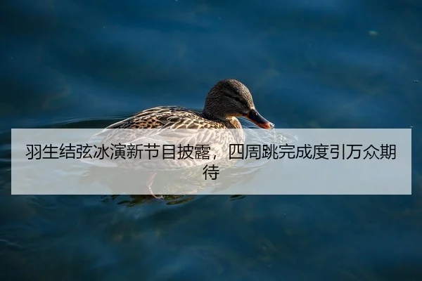 羽生结弦冰演新节目披露，四周跳完成度引万众期待