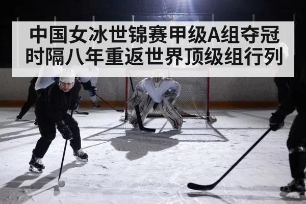 ice hockey action game