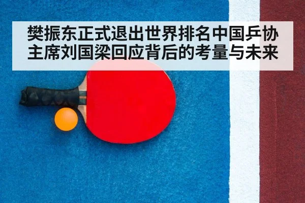 ping pong racket